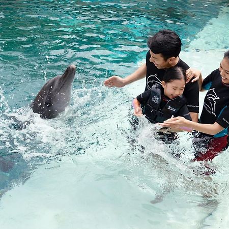 Resorts World Sentosa - Hotel Сингапур Экстерьер фото Dolphin Interaction