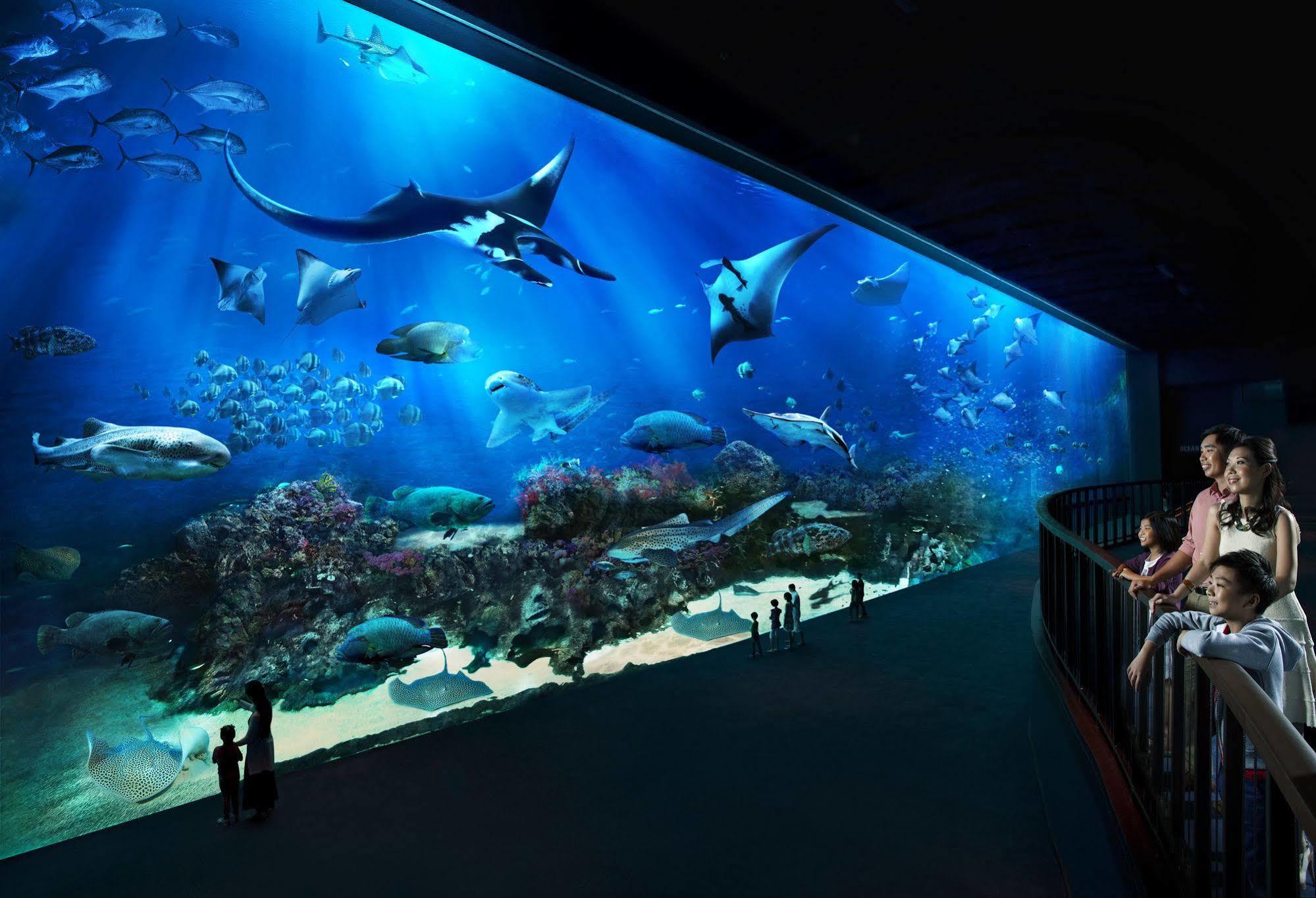 Resorts World Sentosa - Hotel Сингапур Экстерьер фото The open ocean exhibit